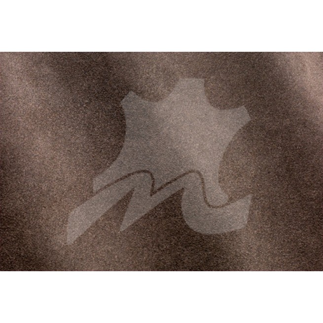 Aligo Group фото